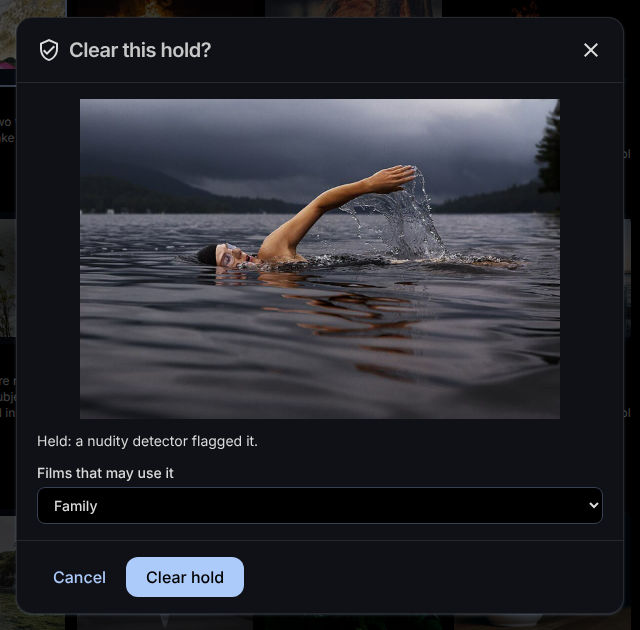 Clear hold shows the picture and asks who may see it