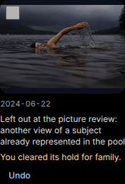 The pool card of the cleared picture: 'You cleared its hold for anyone (a nudity detector flagged it).'