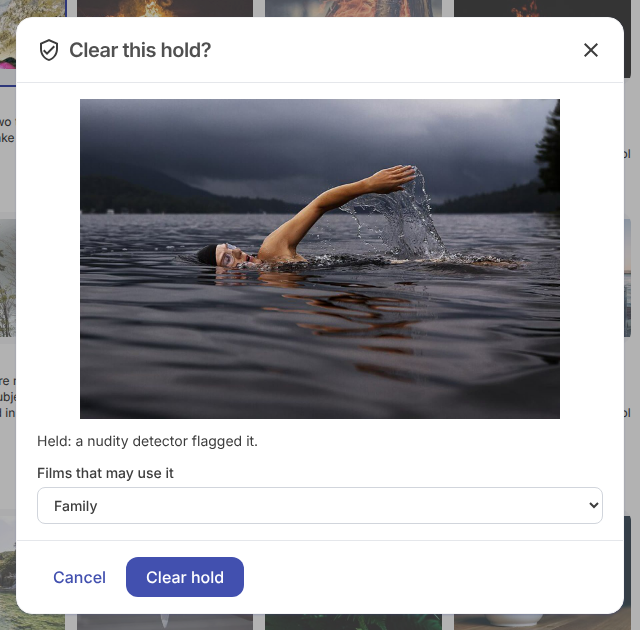 Clear hold shows the picture and asks who may see it