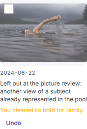 The pool card of the cleared picture: 'You cleared its hold for anyone (a nudity detector flagged it).'
